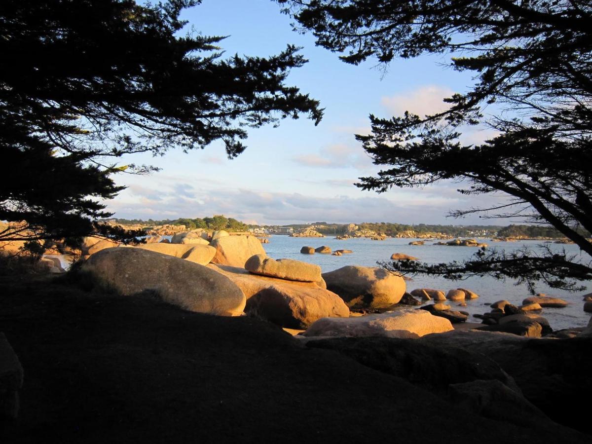 Trestraou, Cote De Granit Rose, Studio Vue Mer, Rez-De-Chaussee Perros-Guirec Eksteriør bilde